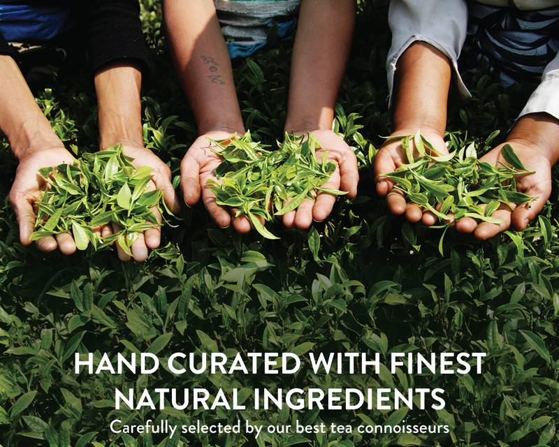 Teamonk Nilgiri Zoho Lemongrass Green Tea for Weight Loss, 25 Teabags