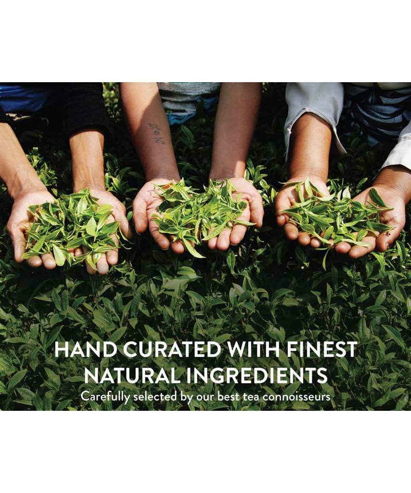 Teamonk Peppermint Herbal Tea Bags