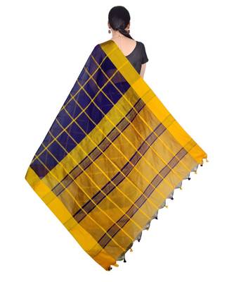Blue Hand Weaving Work Cotton Silk Check Design Handloom saree With blouse 2