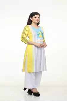 Crepe Straight Multi Kurta