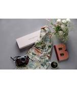 Payal Singhal Ivory Titli print full width scarf