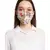 Payal Singhal Giraffe and Chintz print reversible 3 ply face mask with pouch