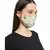 Payal Singhal Aqua and Ivory Titli print reversible 3 ply face mask with pouch