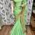 Light green embroidered lycra saree with blouse