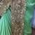 Light green embroidered lycra saree with blouse