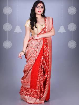 Red Pure Chiffon Banarasi Silk Saree 1