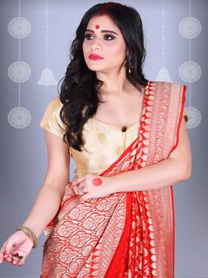 Red Pure Chiffon Banarasi Silk Saree 2