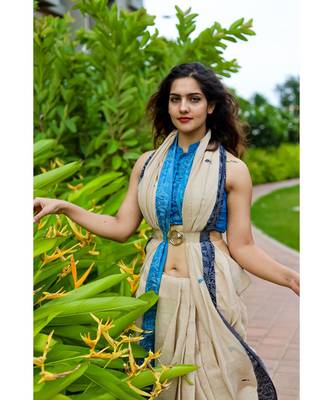 Stunning khadi cotton saree in timeless combination of cream body, azure border & delicate flamingo motifs 1