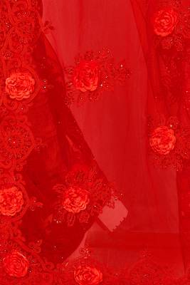 Red Embroidered Net Saree With Blouse 4