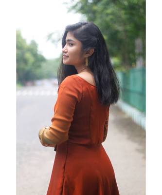 Rust Brown Satin georgette Fit and Flare Dress 5