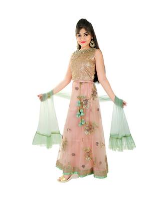 pink Sequins and Stone Embroidery Lehenga Choli for Girls with Blouse and Frills Dupatta 2
