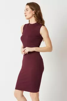Women's Wine Red High Round Neck Sleeveless Solid Semi Sheer Detailing Paneled Bodycon Knee-Long Dress