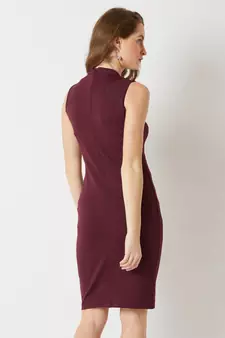 Women's Wine Red High Round Neck Sleeveless Solid Semi Sheer Detailing Paneled Bodycon Knee-Long Dress