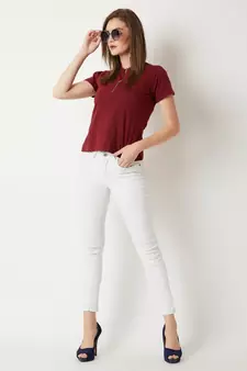 Women's Maroon Round Neck half_sleeve Cotton Solid Zippered High Neck Top