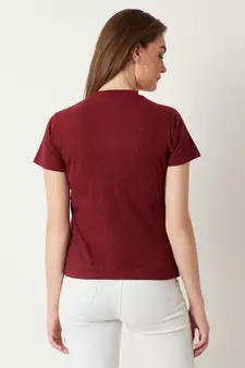 Women's Maroon Round Neck half_sleeve Cotton Solid Zippered High Neck Top