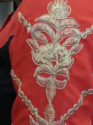 Red and Black Chanderi Silk Blouse Zari embroidery on back and sleeves 3