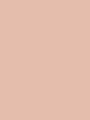 ROSARA HOME Erba Striped Pack of 4 Door Curtains 3