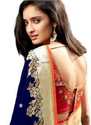 Multicolor embroidered net saree  2
