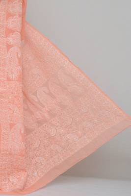 Peach Colour Hand Embroidered Designer Lucknowi Chikankari Saree 2