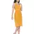 Sunshine Dorothy Sheer A-Line Dress