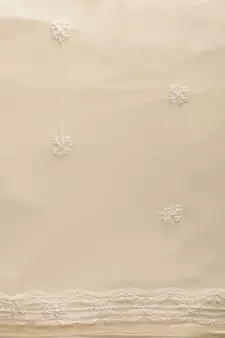 Hand Crafted Beige Georgette Lucknowi Chikankari Indian Women Saree With Blouse