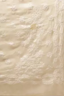 Hand Crafted Beige Georgette Lucknowi Chikankari Indian Women Saree With Blouse
