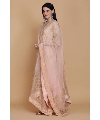 Light Pink Banarasi Tunic With Sharara And Dupatta 2