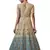 Beige embroidered net salwar
