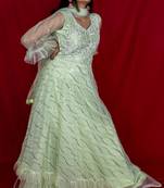 House Of Sitara Powder green Gown with heavy embroidery online