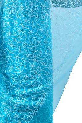 Lavangi Turquoise Hand Embroidered Lucknow Chikan Tepchi WorK Faux Georgette Saree with Blouse 4