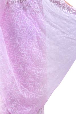 Lavangi Baby pink Hand Embroidered Lucknow Chikan Tepchi WorK Faux Georgette Saree with Blouse 4