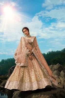 Brown sequins net semi stitched lehenga 2