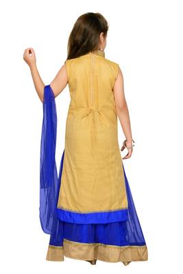 Blue woven silk stitched lehenga 2