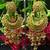 Yellow Meenakari Dangle Chandbali Long Laheriya Stylish Earrings
