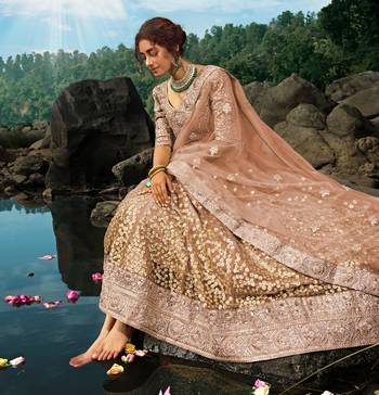 Brown Dori And Sequins Embroidered Net Semi Stitched Lehenga Choli For Wedding 3