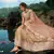 Captivating Brown Dori and Sequins embroidered net semi stitched Lehenga choli for wedding