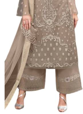 Grey Embroidered Net semi stitched sawlar with dupatta 2