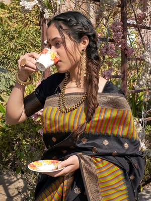 Black woven pochampally saree with blouse 2