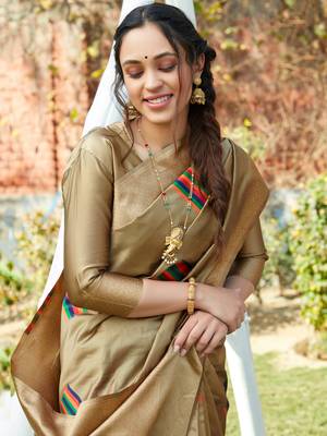 Beige woven pochampally saree with blouse 2