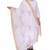 Ada Hand Embroidered White Chanderi Lucknowi Chikankari Dupatta