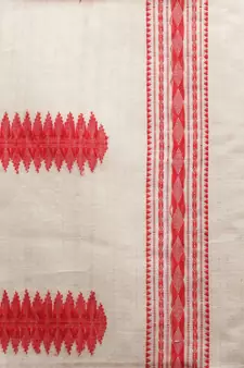 beige hand woven pure cotton handloom sarees