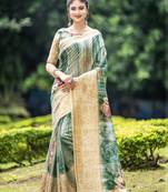 Multicolor embroidered organza saree with blouse