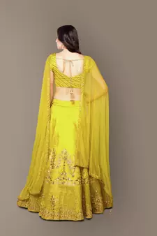 Light-green Zari and Sequins Embroidered Silk Semi Stitched Lehenga choli with dupatta