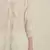 Rina Dhaka white  kurta with lace and bead detail work  with straight pants