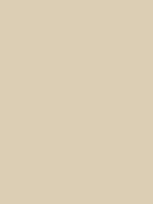 ROSARA HOME Light Beige Solid 210 TC 1 Double Bedsheet with 2 Pillow Covers 4