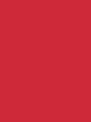 ROSARA HOME Red Solid 210 TC 1 Double Bedsheet with 2 Pillow Covers 4