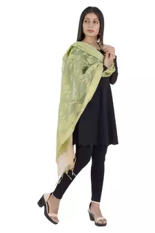 RANI Green Women's Banarasi Kora Silk Zari Dupatta