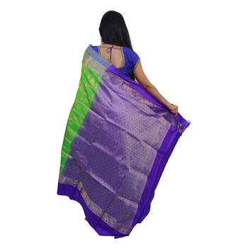 Light green hand woven andhra pradesh handloom saree with blouse 2