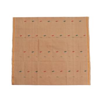 Beige hand woven andhra pradesh handloom saree with blouse 3