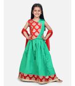 Round Panel Foil Print Lehenga